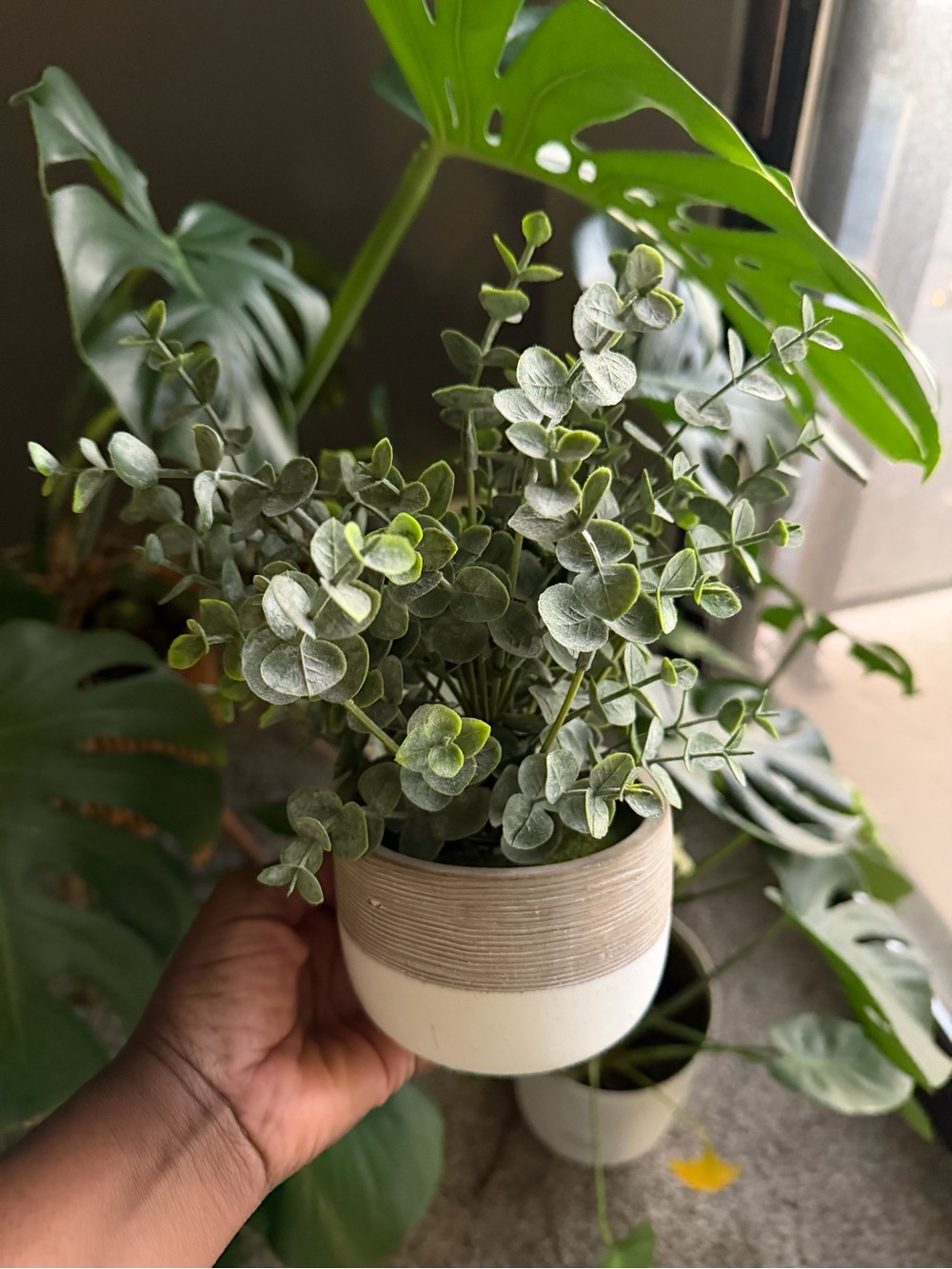 Marshalls Green Eucalyptus Faux Plant in Two-Tone Ceramic Pot